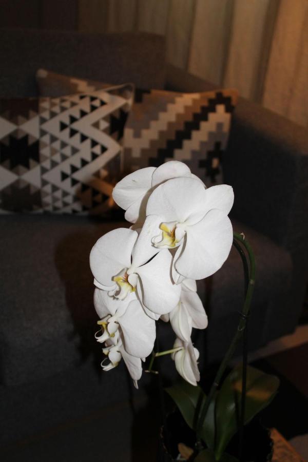 Sound Of Music World Appartement Salzburg Luaran gambar